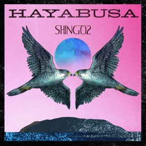 HAYABUSA_cover2.jpg